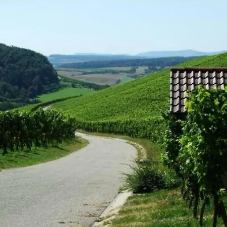 Im Stadtkern Lejlighed